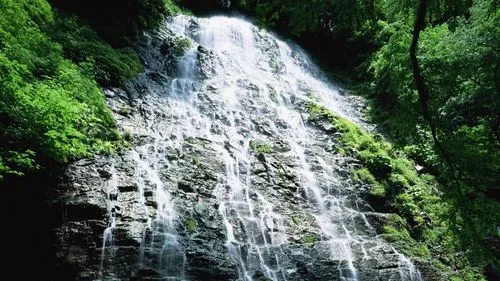 环保高效高精度